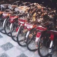 近藤真彦のフラッシャー自転車のコレクション