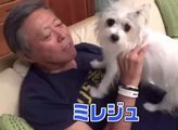小倉智昭と愛犬ミレジュ